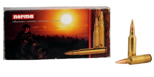 Büchsenpatrone RWS 10,3x68 Mag HIT Büchsenpatrone RWS 10,3x68 Mag HIT