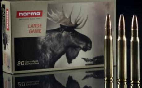 Büchsenpatrone RWS .300 Win.Mag. Büchsenpatrone RWS .300 Win.Mag.