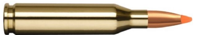 Büchsenpatrone NORMA .270 Win. Büchsenpatrone NORMA .270 Win.