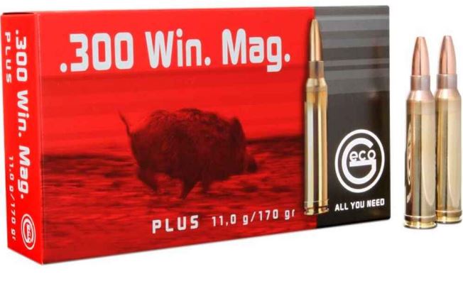 Büchsenpatrone RWS 7mm Rem. Mag. Büchsenpatrone RWS 7mm Rem. Mag.