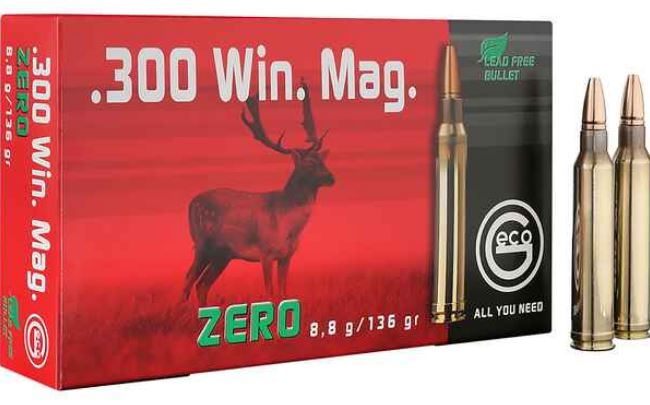 Büchsenpatrone RWS .308 Win. Büchsenpatrone RWS .308 Win.